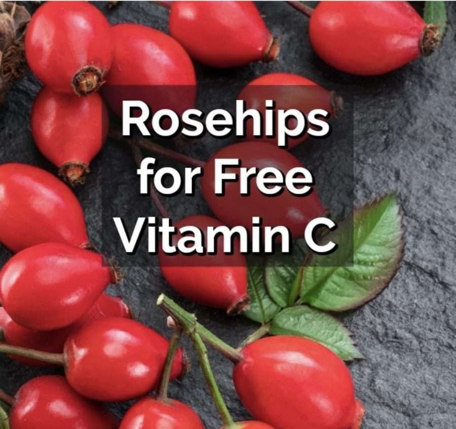 Liposomal Vitamin C vs. Rose Hips Optimunity